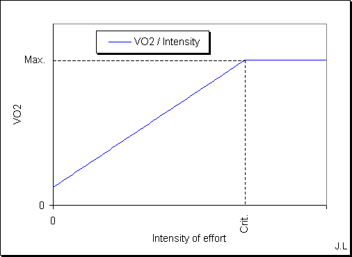VO2 evolution