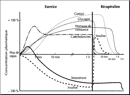 Production hormonale