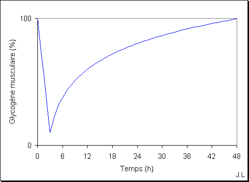 Consommation et rgnration du glycogne musculaire